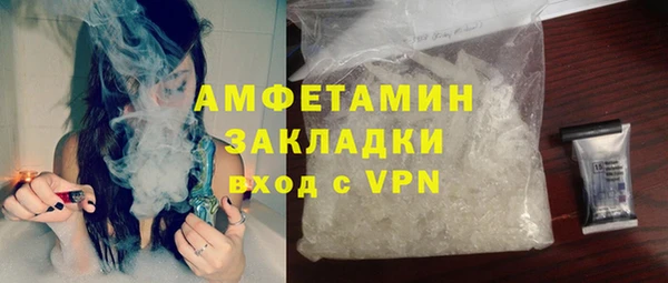 ГАЛЛЮЦИНОГЕННЫЕ ГРИБЫ Инсар