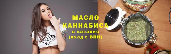 дмт Инта