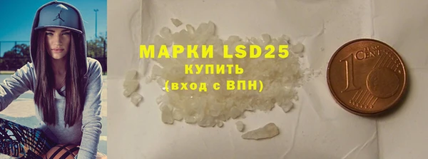 ГАЛЛЮЦИНОГЕННЫЕ ГРИБЫ Инсар