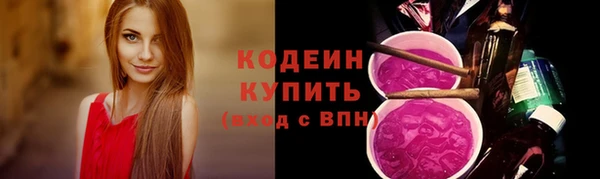 apvp Иннополис