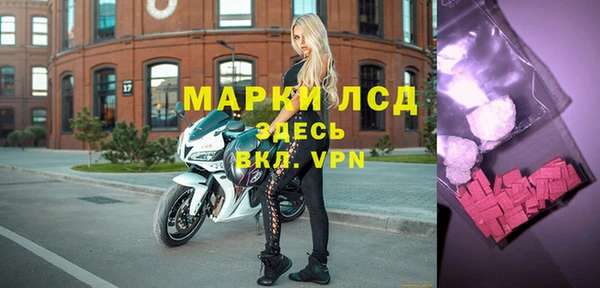 apvp Иннополис