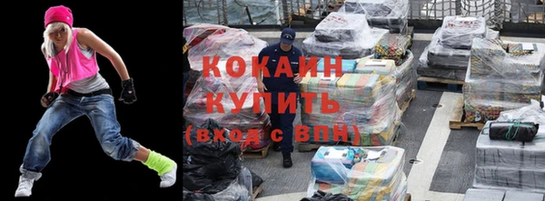 дмт Инта