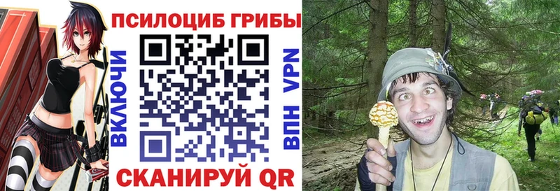Купить где  Сертолово  Псилоцибиновые грибы Psilocybine cubensis 